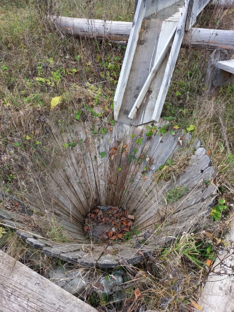 ŞTEAZA – „BUNICA SAU STRĂBUNICA” MAŞINII DE SPĂLAT CU BULE