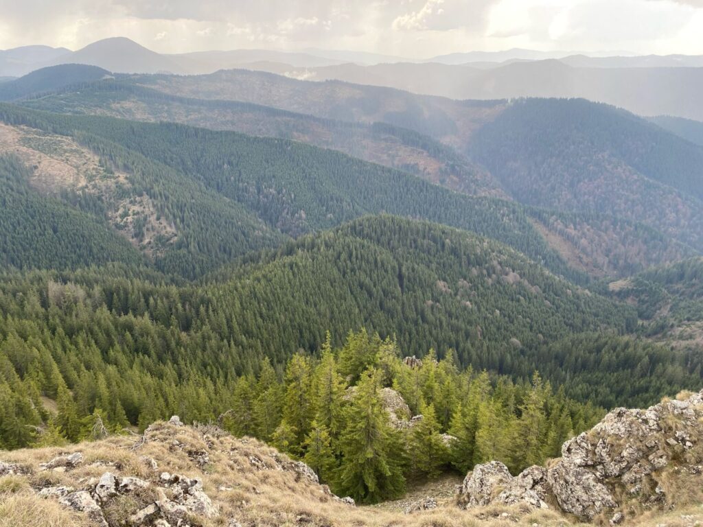 Piatra Vitoș – o comoară ascunsă